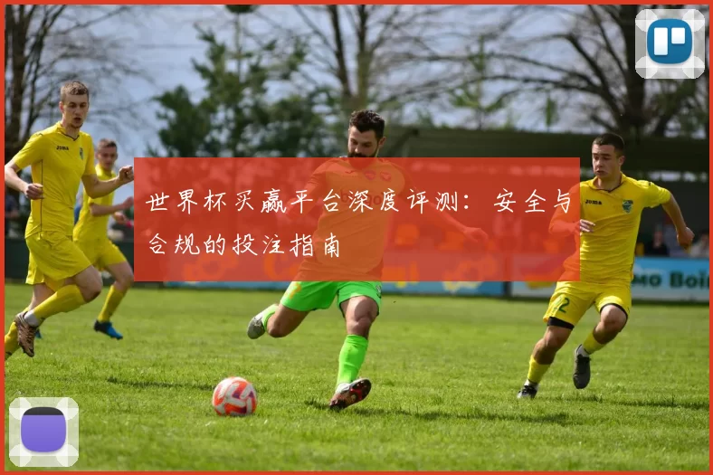 世界杯买赢平台深度评测:安全与合规的投注指南
