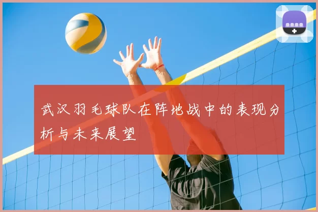 武汉羽毛球队在阵地战中的表现分析与未来展望