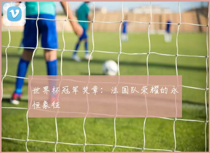 世界杯冠军奖章：法国队荣耀的永恒象征