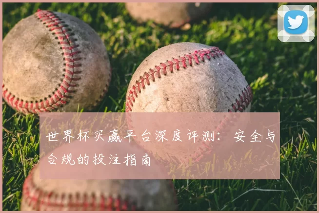 世界杯买赢平台深度评测:安全与合规的投注指南