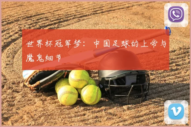 世界杯冠军梦：中国足球的上帝与魔鬼细节