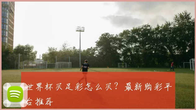 世界杯买足彩怎么买?最新购彩平台推荐