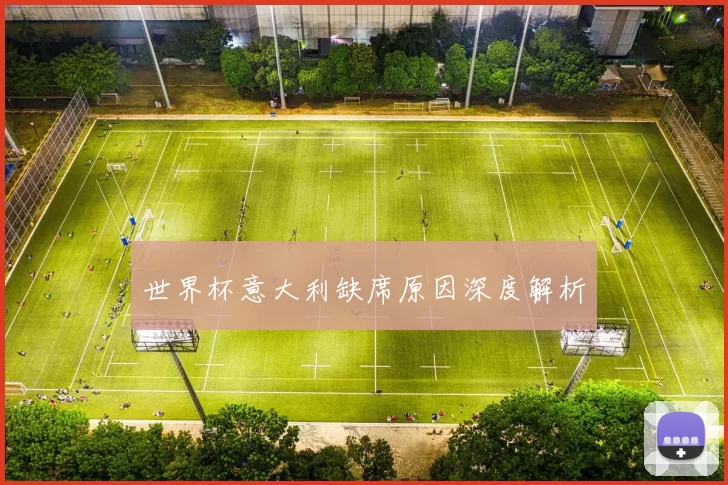世界杯意大利缺席原因深度解析