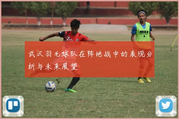 武汉羽毛球队在阵地战中的表现分析与未来展望